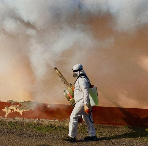 Serviços de Fumigação | Brasil Ambiental